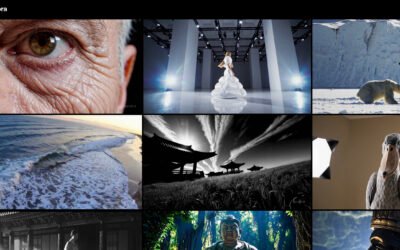 How Sora Is Becoming A Game-Changer in AI Video Generation